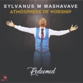 Sylvanus M Mashavave