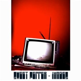 Who's Got The Funk (Original Mix) cover art