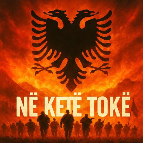 Në kët tok