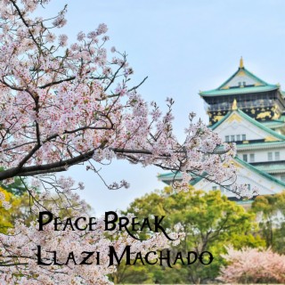Peace Break