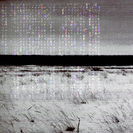 迷わないでください cover art