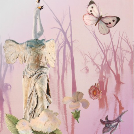 W wyśnionym ogrodzie cover art