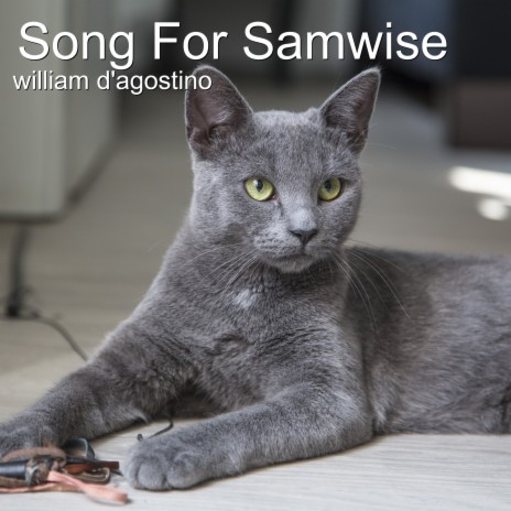 Song for Samwise cover art
