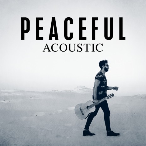 Black and White America (Acoustic) cover art