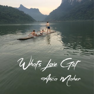 What's Love Got