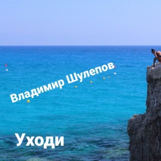 Владимир Шулепов