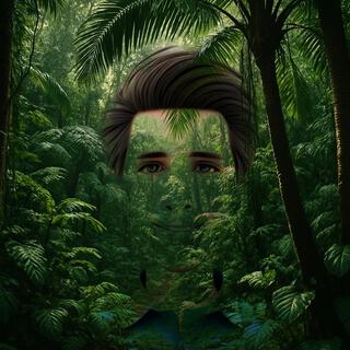 Rainforest