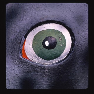 Call the Coastguard cover art