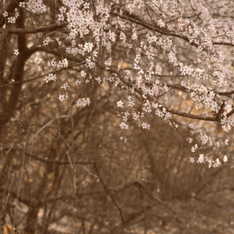 Lost in the flower river ft. ahao cover art