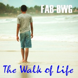 The Walk of Life cover art