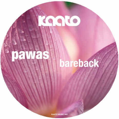 Bareback cover art
