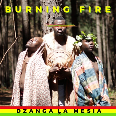 Dzanga La Mesia cover art