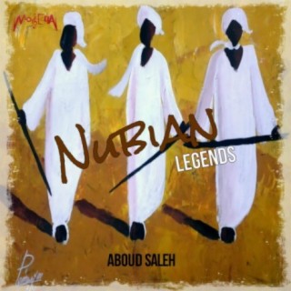 Aboud Saleh