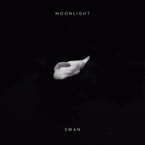 Swan (Techno) cover art
