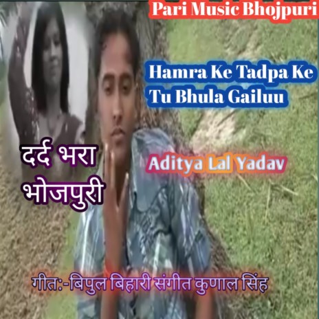 Hamra Ke Tadpa Ke Tu Bhula Gailuu cover art