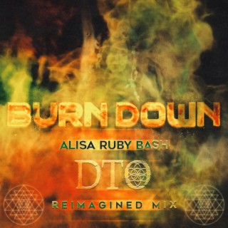 Burn Down (DTO Reimagined Mix) ft. Alisa Ruby Bash cover art