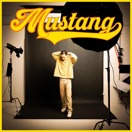 Stesso Permesso cover art