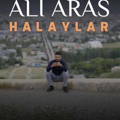 Düz halay kaseti ft. Ali Aras cover art