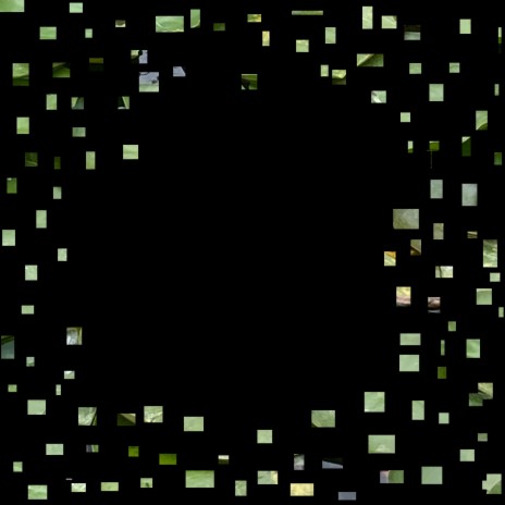 Gymnocorymbus ternetzi cover art