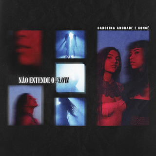 Não Entende o Flow ft. Concê cover art