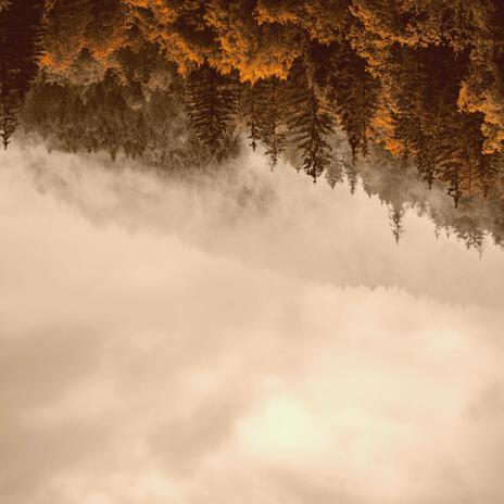 Waves of Leaves cover art