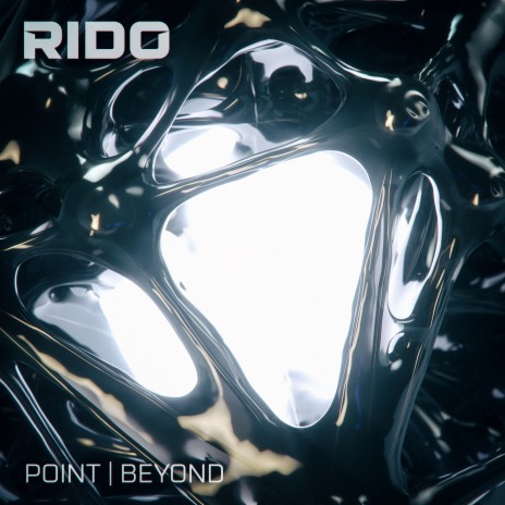 Point cover art