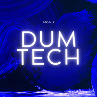 Dumtech (Radio Edit) cover art