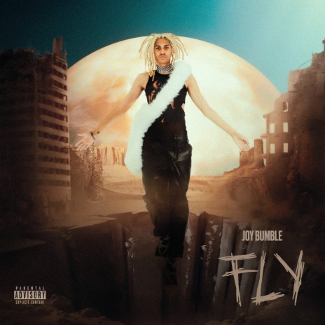 FLY cover art