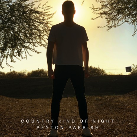 Country Kind of Night cover art