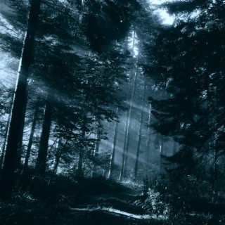 Maloletka ft. tearsmeow cover art