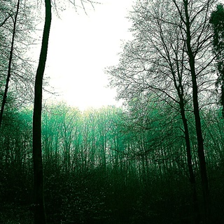 Y5 cover art