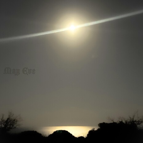 the sleep cover art