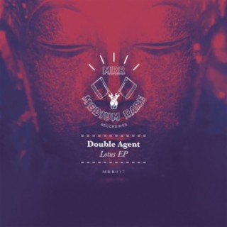 Lotus (Original Mix) cover art