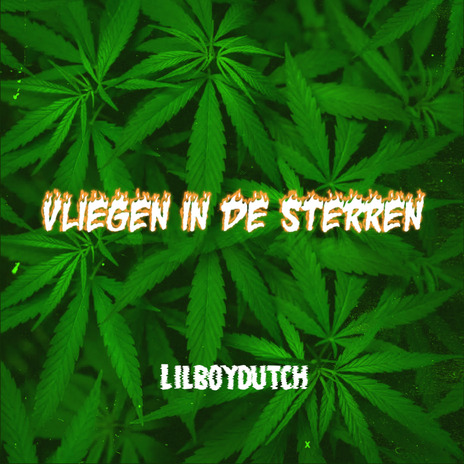 Vliegen in de Sterren (Radio Edit) cover art