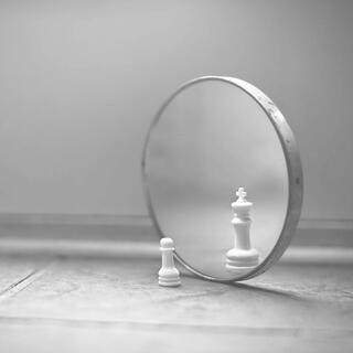 Perceptions