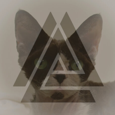 The Biscuit Maker ft. Woem cover art