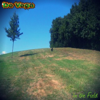 In the Field