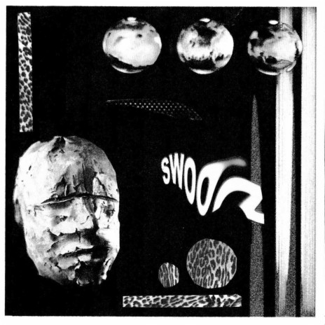 Silver Dollar