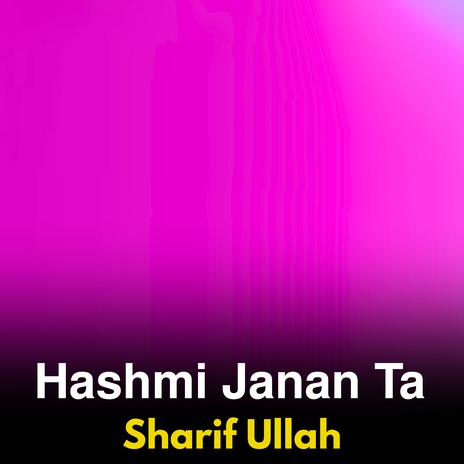 Da Zamush Da Qafile Mashere Amir De cover art