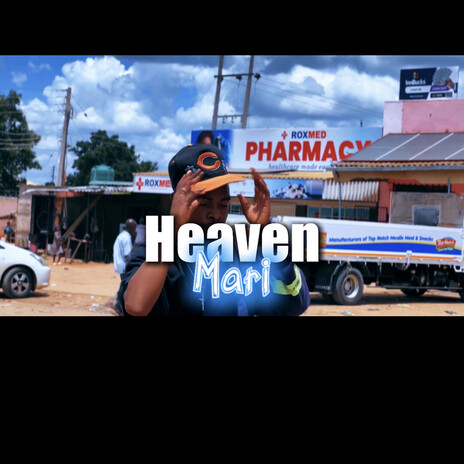 Mari cover art