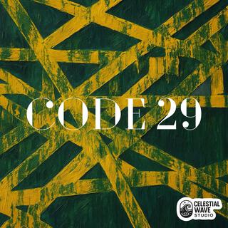 CODE 29