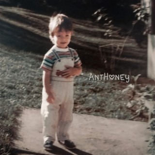 AntHoney