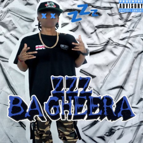 Zzz cover art