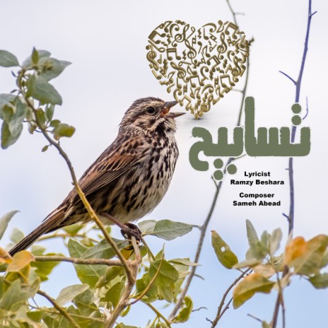 مفيش قصادك مُحال ft. Sara Maarof cover art