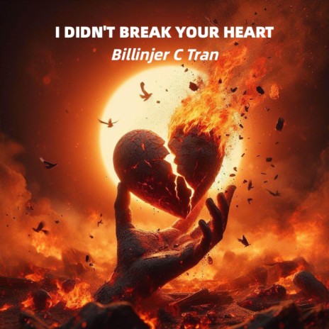 I didn't break your heart cover art