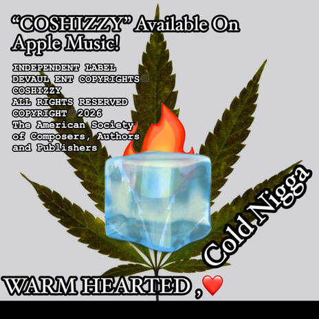 WARM HEARTED COLD NIGGA (Radio Edit) cover art