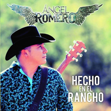 Ay Que Borrachera cover art