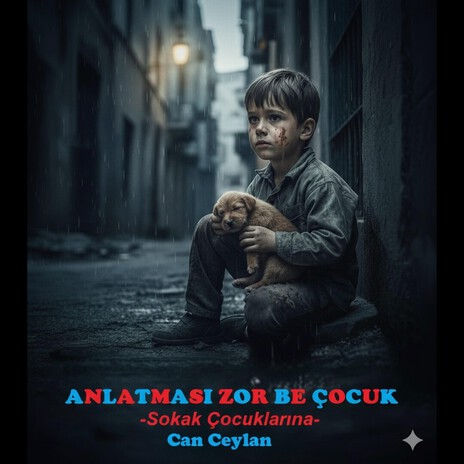 Anlatması Zor Be Çocuk cover art