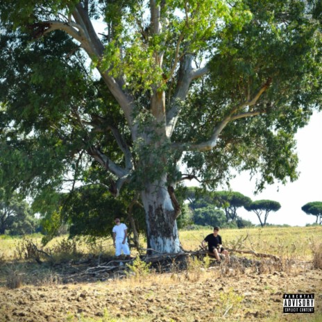 sto pensando un po' troppo (intro) ft. Blessed. cover art