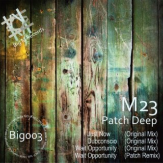 Wait Opportunity (Patch Remix) cover art